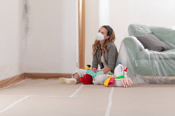 Reliable Mold Remediation contractor in Sherwood, MD by Cheap Mold Removal